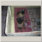 DSCN8696.JPG