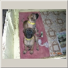 DSCN8697.JPG