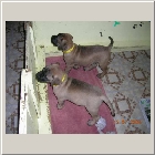DSCN8698.JPG