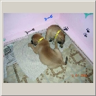 DSCN8736.JPG
