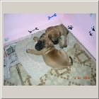 DSCN8737.JPG