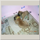 DSCN8738.jpg