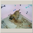DSCN8739.JPG