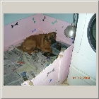 DSCN9162.JPG