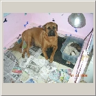 DSCN9171.JPG