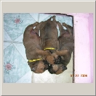 DSCN9293.JPG