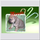 DSCN9299.JPG