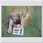 DSCN9307.JPG