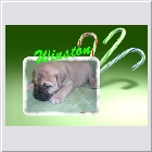 DSCN9311.JPG