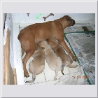 DSCN9342.JPG