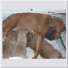 DSCN9347.JPG