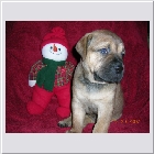 DSCN9378.JPG