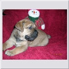DSCN9382.JPG