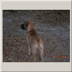 DSCN9386.JPG