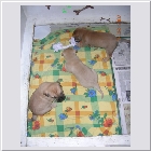 DSCN9403.jpg