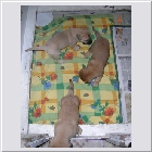 DSCN9404.jpg
