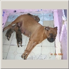 DSCN9457.jpg