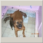DSCN9459.JPG