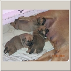 DSCN9506.JPG