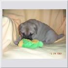 DSCN9511.JPG