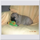 DSCN9514.JPG