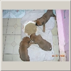 DSCN9636.JPG
