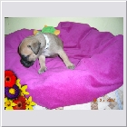 Dscn3318.jpg