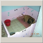 Dscn7347.jpg