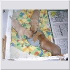 Dscn9407.jpg