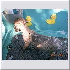 dscn4140.jpg