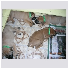 dscn4306.jpg