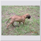 dscn4817.jpg