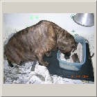 dscn6146.jpg